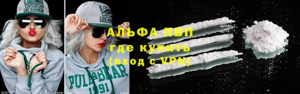 крисы Алексин