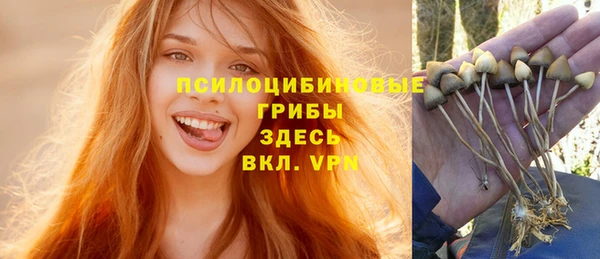 крисы Алексин
